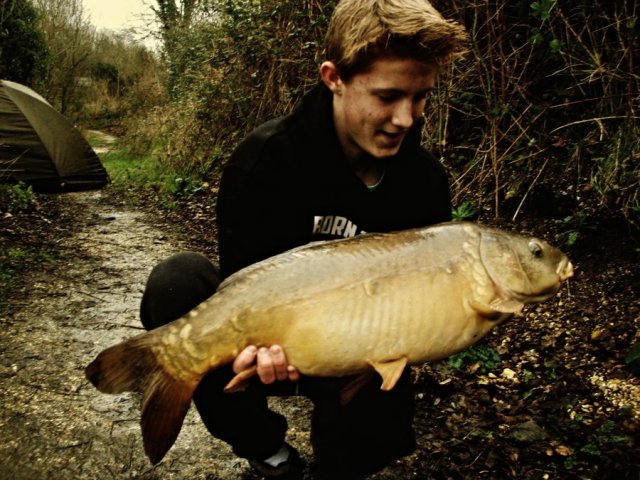 Carp - Thomas Franklin