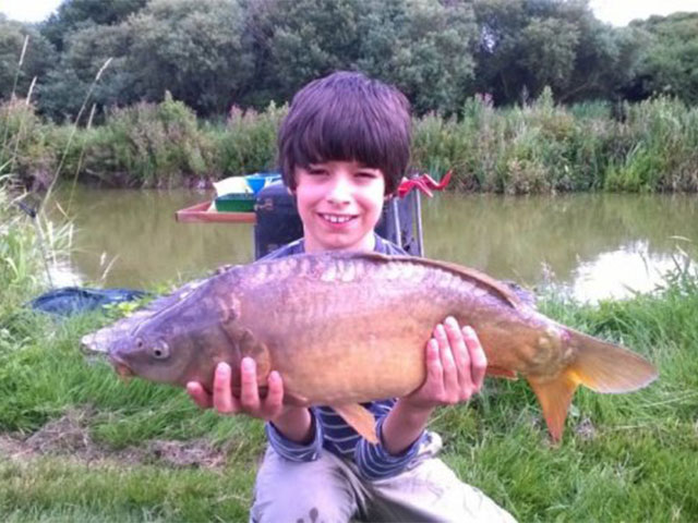 Carp - Dante Dunbabin