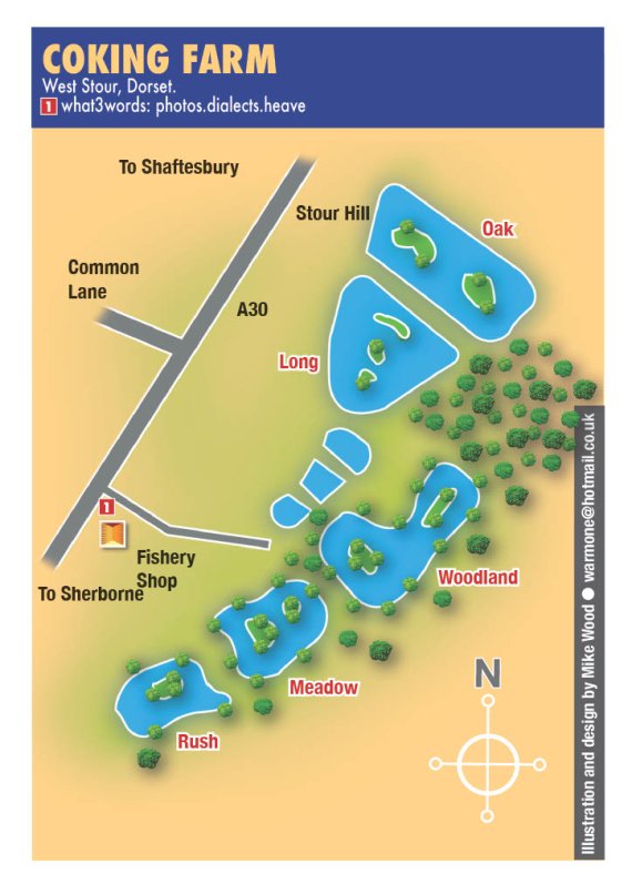 Coking Farm Fishery 