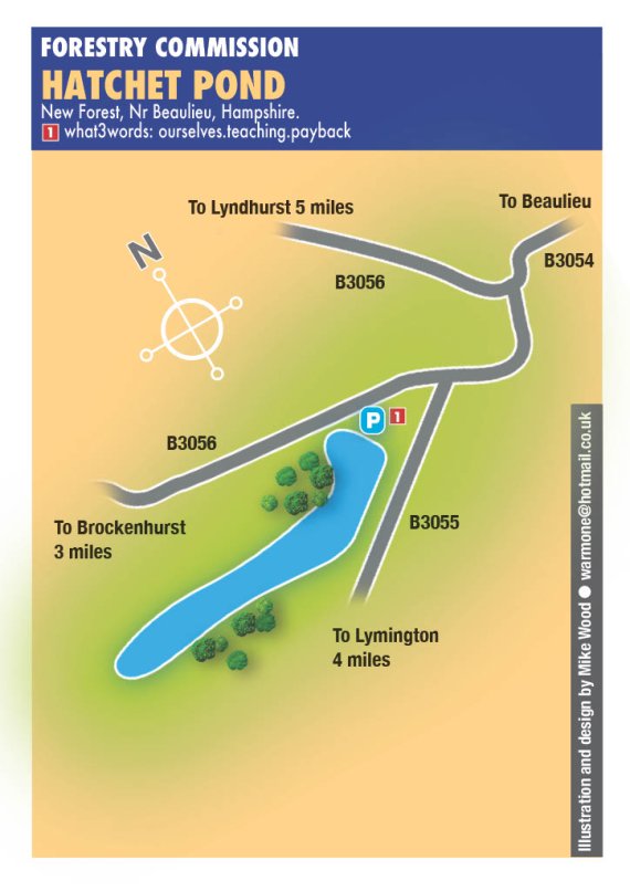 Hatchet Pond