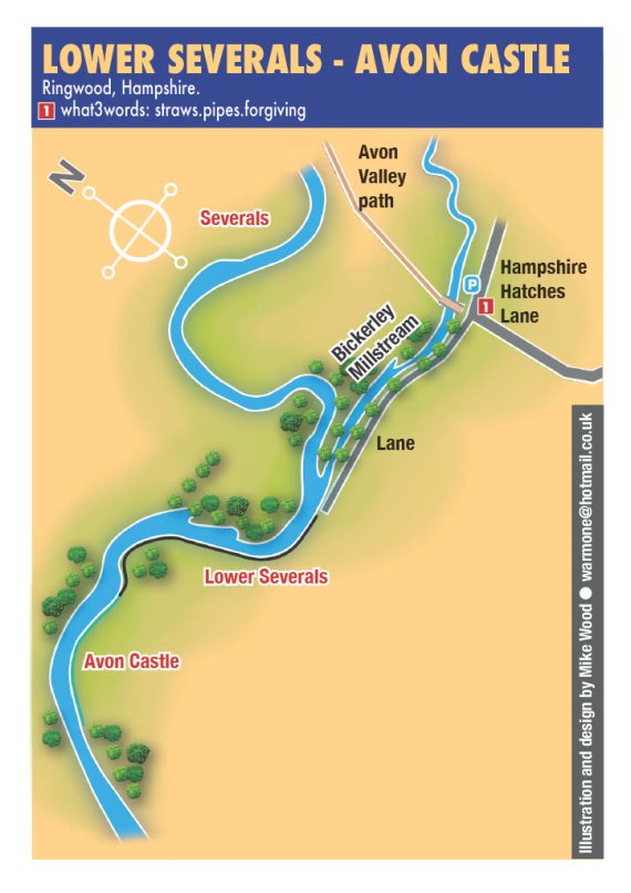 Lower Severals & Avon Castle